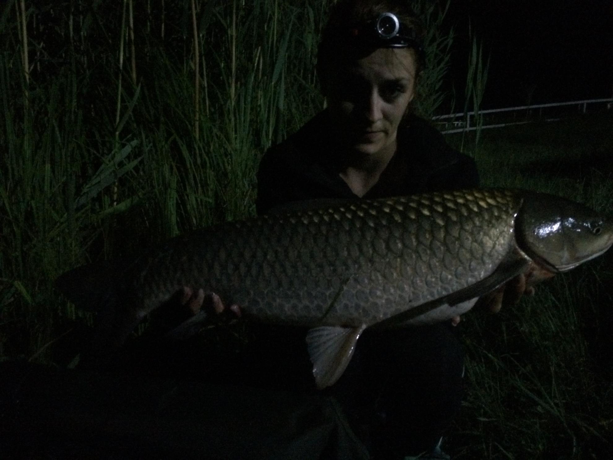 Pescuit Balta Lazar 6-8 iunie 2014 - img0629.JPG